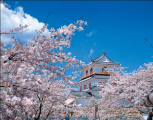 Sakura Sendai Castle VII