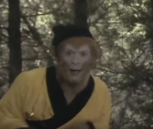 Sun Wukong Observing