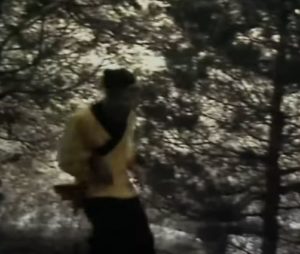 Wukong rennen durch den Wald