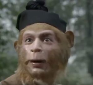Wukong the disciple