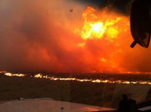 Australia Wildfire Devastation