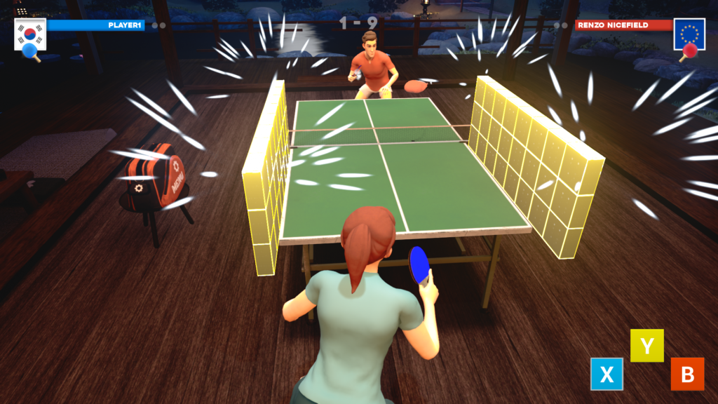 Nintendo VR ping pong pro