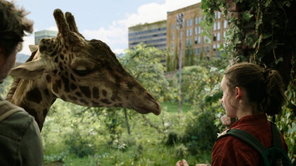 The last of us ep 9 giraffa