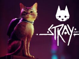 stray